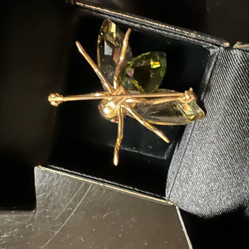 Swarovski crystal bug pin